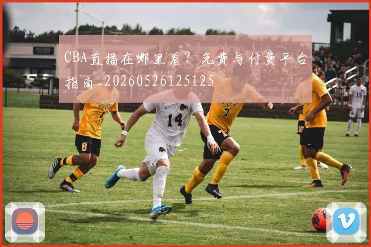 CBA直播在哪里看？免费与付费平台指南_20260526125125