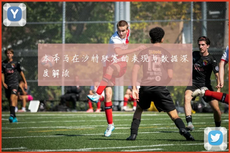 本泽马在沙特联赛的表现与数据深度解读